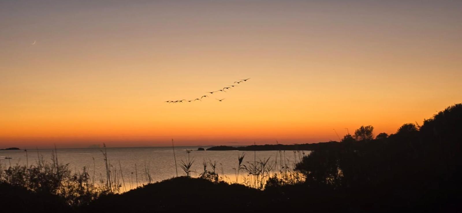Elsanais Villa Figari  Bagian luar foto